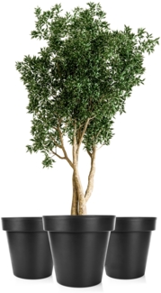BigDean 3x Blumentopf XXL ø60 cm Classic anthrazit - mit 360 Grad Rollen wiederverschließbarer Wasserablauf - wetterfest bruchsicherer Kunststoff - Pflanzkübel groß Außen & Innen geeignet