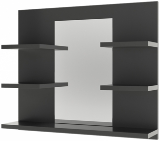 Badspiegelschrank Wilbur Anthrazit 58.8 x 50 cm mit Regalen Vicco