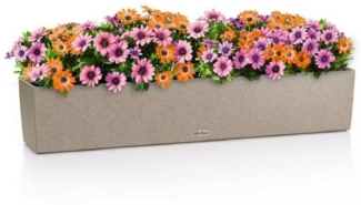 LECHUZA-Pflanzgefäß BALCONERA Stone 100 sandbeige, Balkonkasten mit Bewässerungssystem, Wasserstandsanzeiger und Pflanzeinsatz, Stein-Optik, 99 x 19 x 19 cm, 15437