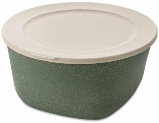 Koziol Dose Connect Box mit Deckel, Schüssel, Schale, Kunststoff-Holz-Mix, Nature Ash Grey, 4 L, 7872701