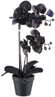 Kunstorchidee Orchidee Phalaenopsis Orchidee, Bruno Banani, Höhe 53 cm, mit real-touch-Blüten