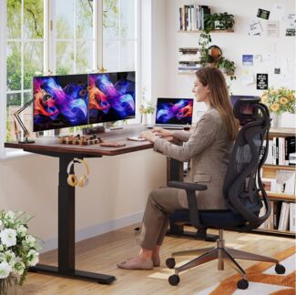 HOMALL Schreibtisch Höhenverstellbarer Schreibtisch elektrischer mit 2 Motoren (25 mm dicke, nahtlose, monolithische Tischplatten Keine gespleißten Platten Vielseitig und hochwertig,Erinnerung bei längerem Stehen)