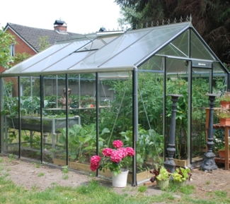 ACD Glas Gewächshaus R305H | Schwarz | 371x306x259