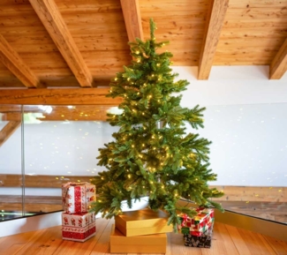 Evergreen Künstlicher Weihnachtsbaum Roswell