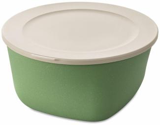 Koziol Dose Connect Box mit Deckel, Schüssel, Schale, Kunststoff-Holz-Mix, Nature Leaf Green, 4 L, 7872703