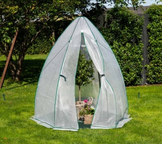Westmann Überwinterungszelt & Foliengewächshaus Olive | Weiß | 160x160x183 cm