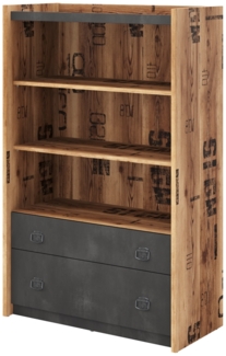 Bücherregal Fargo Regal 90cm Canyon Alpine Spruce Raw Steel