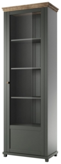 Lomadox Vitrine EPSOM-83 grün Türanschlag rechts 71/200/42 cm