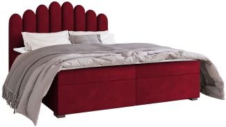 Mirjan24 	Boxspringbett Tosian, Rot, 180 x 200 cm