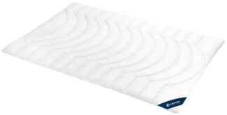 casimum Microfaserbettdecke COMFORT Faser Steppbettdecke, Bezug: 100% Baumwolle, hergestellt in Deutschland, allergikerfreundlich, versch. Wärmeklassen