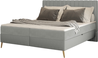 Boxspringbett Cersen Cord grau 160x200 cm