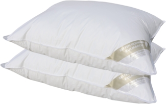 2 Stück Betten Hofmann Basic Allergiker Kopfkissen Polster 60x80 cm prall 700 g