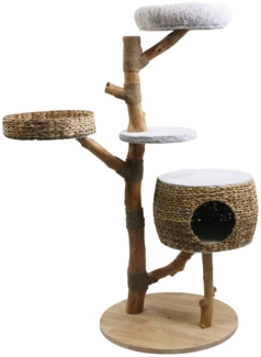 Nobby Kratzbaum "Arbo"