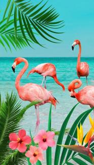 good morning Strandtuch Strandtuch "Flamingo", Polyester (1-St), Polyvelours Motiv