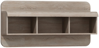 Wandregal Link Wandboard 120x25x56cm eiche sonoma