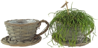 2er Set Natürliche Pflanztasse ca. 11 cm - Gartendekoration