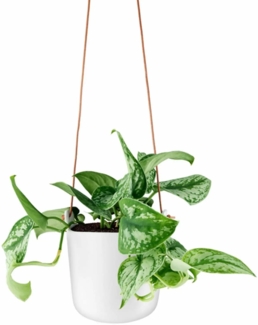 Eva Solo Selbstbewässernder Topf Hängend, Kräutertopf, Übertopf, Dekoration, Pflanzen, Steinzeug und Kunststoff/Nylon/Lederband, Weißer Ton, Ø 15 cm, 568164