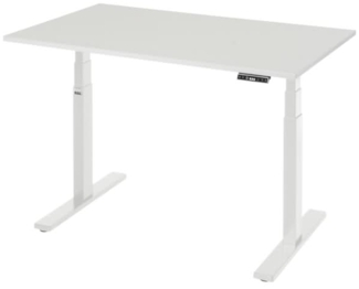 Rau Schreibtisch adlatus 100 1250 x 800 x 650-1300 M-Platte lichtgrau