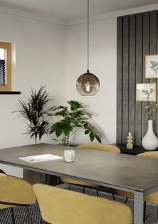 Eglo Hängeleuchte Ariscani 1 schwarz Ø 20 x 110 cm