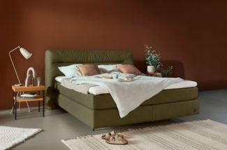 Birkenstock Boxspringbett Calan, Kopfteil mit Kreuzstichziernaht, in unterschiedlichen Ausführungen