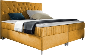 Boxspringbett Murseno, Gelb, 160 x 200 cm