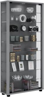 Vitrinenschrank Glas Sammler Vitrine LED Standvitrine Wohnzimmer Schrank silber