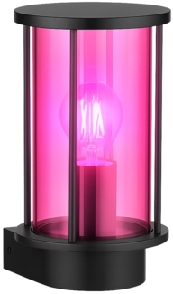 Smart RGB LED Wandleuchte, Edelstahl schwarz, Glas, H 25,2 cm