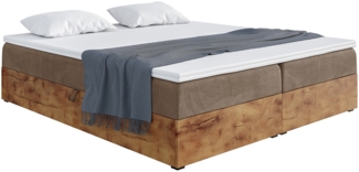 MEBLINI Boxspringbett LOFTY BOX 140x220 cm mit Bettkasten - H3/Braun Samt Polsterbett - Doppelbett mit Topper & Taschenfederkern-Matratze