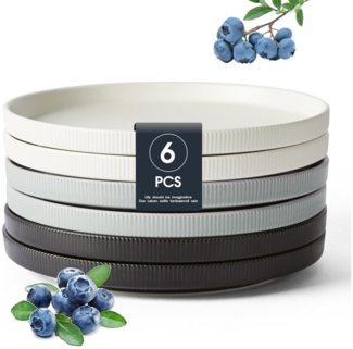 JIWOO Teller 4er,Ø21.3cm,Salatteller,Dessertteller,Vorspeisenteller,Brotteller, (6 St), Keramik,Mattglas,Mikrowellen-und spülmaschinenfest,Stapelbares,Ø21.3cm