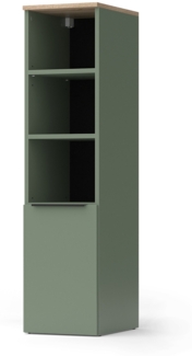 Universalschrank Wido Grün 30.2 x 120 cm mit einer Tür Vicco