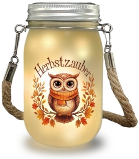 speecheese Dekolicht Niedliche Eule mit Schal Solarlicht - Herbstzauber