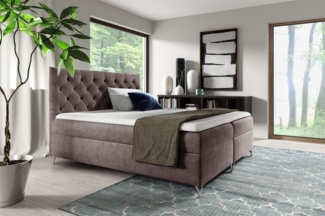 Boxspringbett Schlafzimmerbett AMBRE 160x220cm in Stoff Fresh Blassbraun