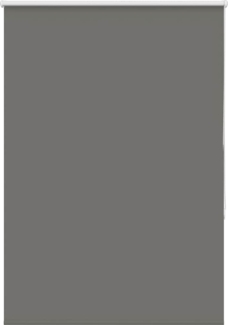 vidaXL Verdunkelungsrollo Grau 100x150cm Stoffbreite 95,7 cm Polyester 4011128