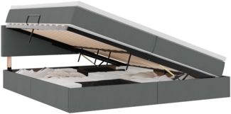 vidaXL Bett mit Stauraum und LED mit LED Dunkelgrau 200 x 200 cm Stoff 3371104