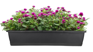 BigDean Blumenkasten mit Untersetzer 80 cm lang anthrazit - aus PP-Kunststoff - Balkon Pflanzkasten schmal Balkonkasten