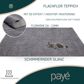 Teppich Kurzflor Mancie 48