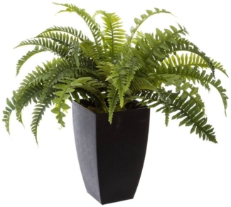 Kunstpflanze Tüpfelfarn Zimmerpflanze, Atmosphera Créateur d'intérieur, Höhe 55 cm