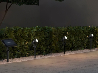 Solar Gartenstrahler OBIDOS auch per USB aufladbar mit 3 Spots, L: 6,2 Meter