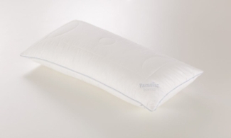 Paradies Kissen Softy Duett Plus Bio 40x80 cm