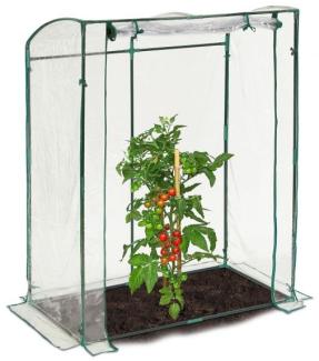 Tomatengewächshaus mit PVC-Folie