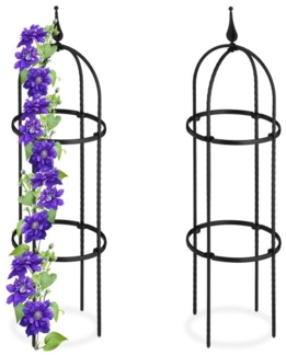 Rankhilfe 85 cm 2er Set