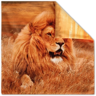 Bestlivings Kissenbezug mit Fotodruck ca. 40x40cm, Beidseitig bedruckt, in vielen Motiven verfügbar ( Design: LÖWE / SONNENUNTERGANG )