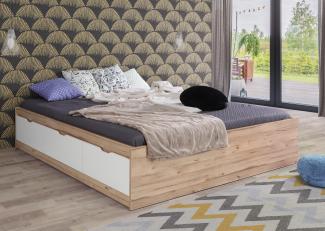 Forte Jugendbett Planked Eiche (D55) 180x200 cm