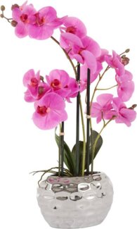 Kunstpflanze Orchidee Orchidee, Leonique, Höhe 55 cm, Kunstorchidee, im Topf, Bestseller, über 2500 4,5-Sterne-Bewertungen