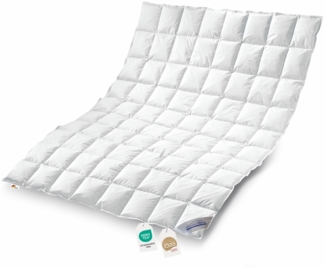 Daunenpass Sommer Daunen Bettdecke Sommerbett Sommerdecke 240g 135x200