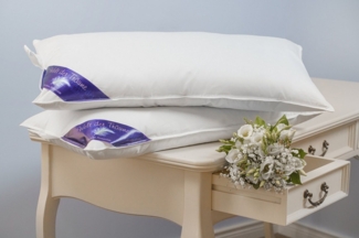 Welt der Träume Daunenkissen Daunenkissen Kissen Kopfkissen Kinderkissen Daunen 40x80 750 Gr, Füllung: 60% Daunen/ 40% Federn, Made in Europe