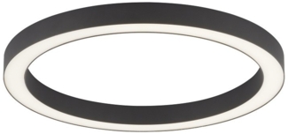 Paul Neuhaus 6309-13 PURE-LINES LED Deckenleuchte anthrazit CCT 50cm