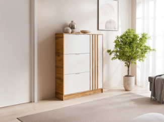 Vente-unique - Schuhschrank mit 1 Tür und 3 Klappenfächern - Natur & Weiß - JANAKIA