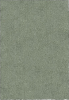 Kadima Design Weicher & Waschbarer Teppich "Gipping Flauschig". Farbe: Salbeigrün, 120x170 cm