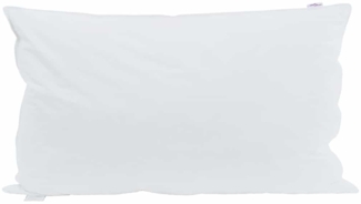 vidaXL Kopfkissen mit Kissen 2 pcs Weiß 40 x 80 cm Feder 42007685